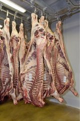 Kalt -in -Room -Rindfleisch in einem kalten Raum