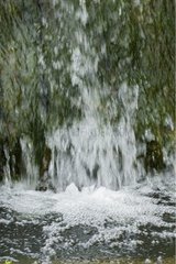 Chutte d'eau en cascade dans un jardin