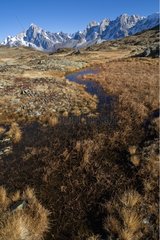 Sumpf von Carlaveyron und Mont Blanc Massiv Frankreich
