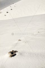 Die südlichen Hänge von Mont Ventoux im Winter unter dem Schnee