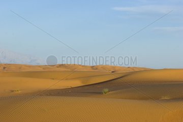 Dünen Sand Al Qabil Oman