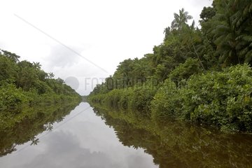 River of Kaw in the natural reserve of French Guiana