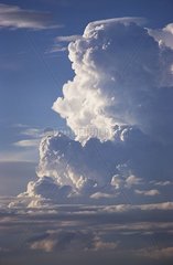 Gros plan sur la tour convective d'un cumulus congestus