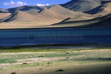 Rives du Lac Salé de Tsokar Ladakh India
