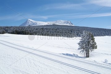 Cross-Country-Skikraße vor einem schneebedeckten Vulkan