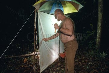 Leuchtfalle für französische Guyana -Insektenbeobachtung