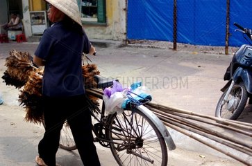 Saleswoman of plumeaux in the streets of Hanoï Vietnam