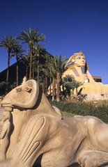 Gambling at the famous upscale Luxor Hotel on the Strip in the desert of exciting Las Vegas Nevada and energy in the USA