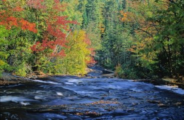 Rivière en automne Parc de la Gaspésie Québec