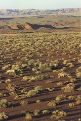 Paysage du painted desert Arizona Etats-Unis