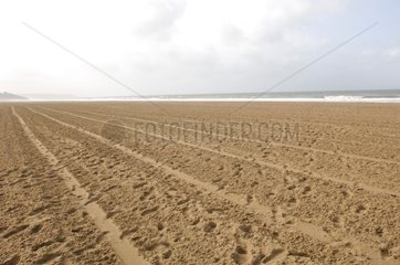 Sauberer Sandstrand Deauville Frankreich