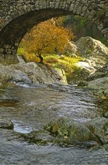 Römische Steinbrücke im Herbst Jaujac Ardèche Frankreich