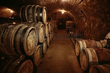 Weinkeller und Fässer  um das Alter zum Wein in Burgund zu machen