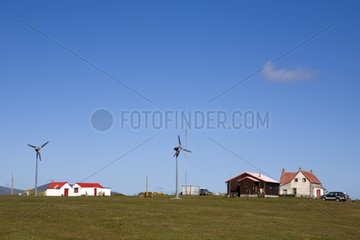 Hamlet and windmills in Saunders island Falkland Islands
