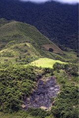 Deforestation in the High Andes Imbabura Ecuador