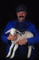 Züchter trägt ein Merino -Lamm in den Armen
