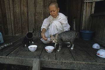 Buddhistische Nonne in Gesellschaft von zwei Katzen