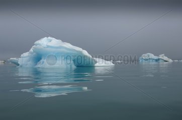 Floating icebergs detached from glaciers Svalbard