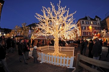 Tree light on the Christmas market in France Montbeliard