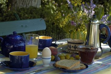 Breakfast with the garden in August