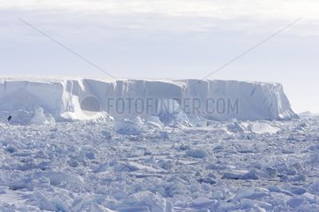 Ice pack Antarctica