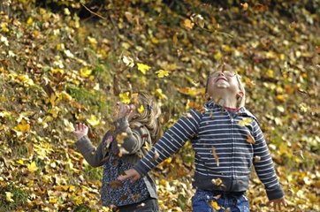 Young Children playing with dead leaves in autumn