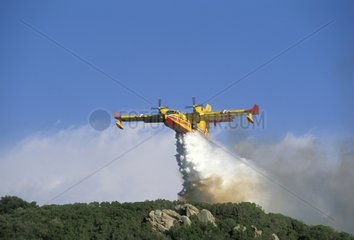 Canadair lachant de l'eau au dessus d'un incendie de forêt