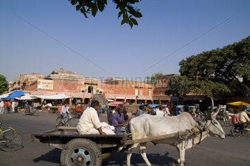 Traffic and traditional transportation in downtown center of the Pink City of Jaipur in Rajasthan India