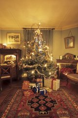 Geschenke vor einem Weihnachtsbaum  der in einem Haus dekoriert ist