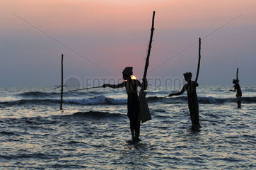 Weligama  traditional fishermen on stilts in the surf of the Indian Ocean off the south coast of the island