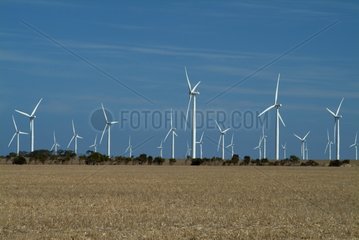Wind mill farm and thatch South Australia