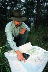 Checking on a map the habitats of Koalas Redland Shire