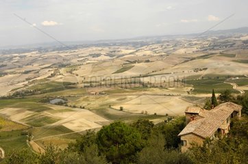 Landwirtschaftliche Landschaft in der Toskana -Italien