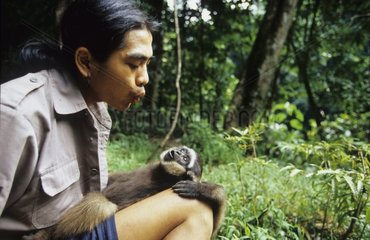 Ali singing with a young Gibbon Kalaweit Indonesia