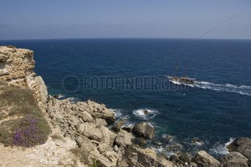 Vergnügungsboot entlang der Küste Malta