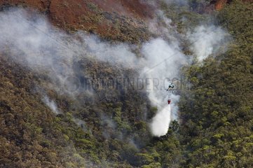 Hubschrauber  die Wasser auf einem Feuer von Wald Neukaledonien freigeben