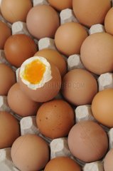 Teller mit Eiern mit einem in der Schale gekochten Ei