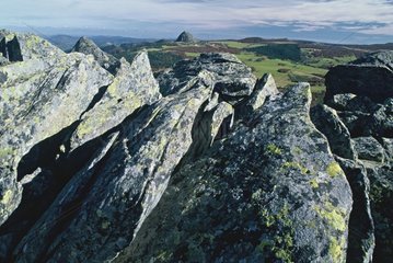 Basalt rockt zum Mount Gerbier de Jonc Ardeche France [at]