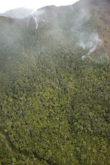 Brände von Naswald in Neukaledonien