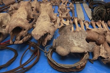 Seizures made by the Sumatran Rhinoceros Protection Unit