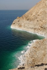 Layer of salt on the rock shore of the Dead Sea Jordan