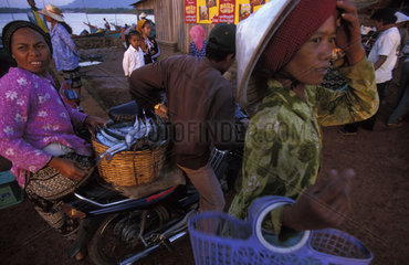 Kampot  early morning fish market