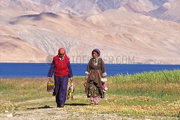 Ladakhi Bauernfrauen  die aus den Feldern Ladakh India zurückkehren