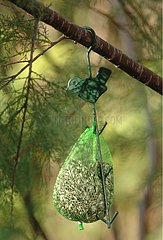 Packet of seeds for birds hanging from a tree
