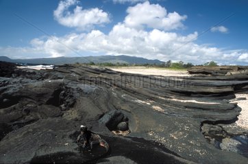 Volcanic ground in Puerto Egas Galapagos