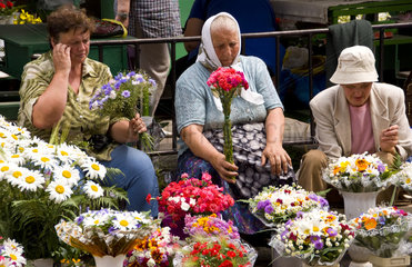 Old lady babushkas selling flowers at market in old town center city of Lviv Ukraine