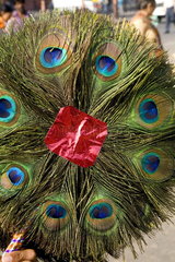 Peacock feathers for sale in downtown center of the Pink City of Jaipur in Rajasthan India
