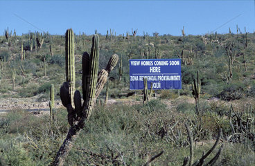 Mexico  Baja California; a billboard announcing the construction of new houses in the middle of a cactus covered landscape