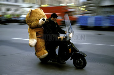 Florence  bear on scooter