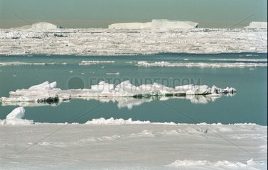 Icebergs and ice-floe in collapse in spring Antarctic